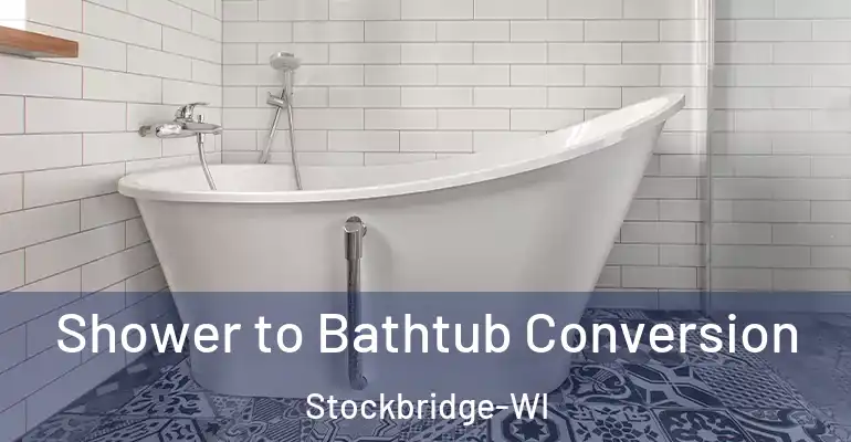 inner Bathroom imggen Shower to Bathtub Conversion Stockbridge-WI