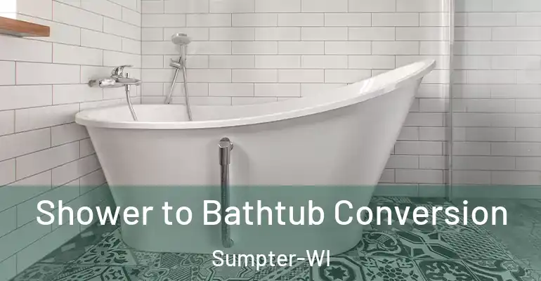 inner Bathroom imggen Shower to Bathtub Conversion Sumpter-WI