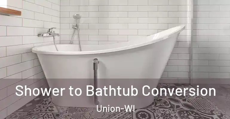 inner Bathroom imggen Shower to Bathtub Conversion Union-WI