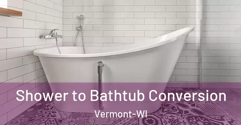 inner Bathroom imggen Shower to Bathtub Conversion Vermont-WI