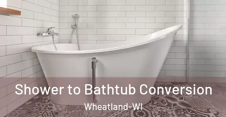 inner Bathroom imggen Shower to Bathtub Conversion Wheatland-WI