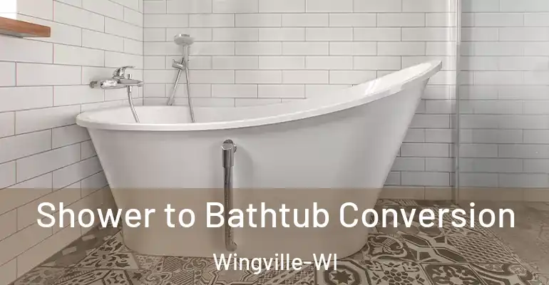 inner Bathroom imggen Shower to Bathtub Conversion Wingville-WI