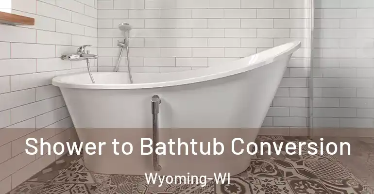 inner Bathroom imggen Shower to Bathtub Conversion Wyoming-WI