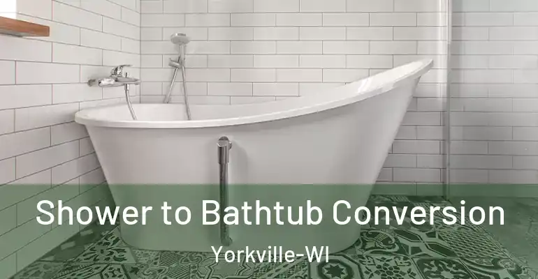 inner Bathroom imggen Shower to Bathtub Conversion Yorkville-WI