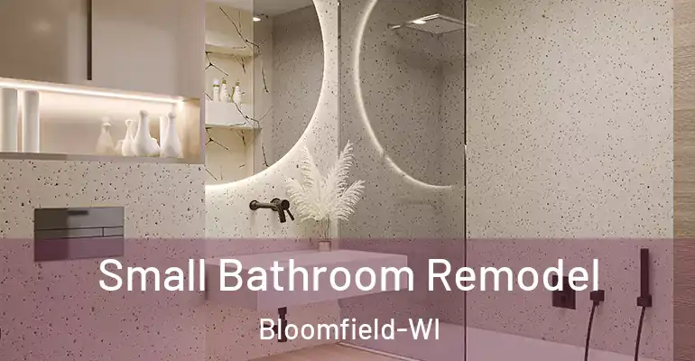 inner Bathroom imggen Small Bathroom Remodel Bloomfield-WI