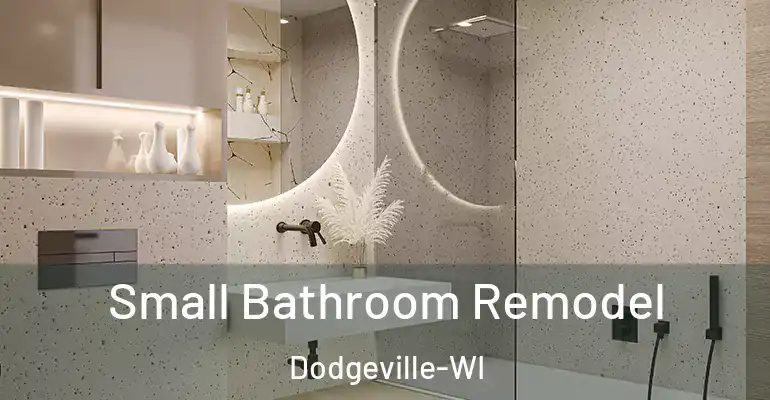 inner Bathroom imggen Small Bathroom Remodel Dodgeville-WI