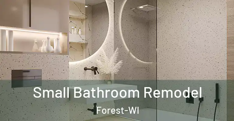 inner Bathroom imggen Small Bathroom Remodel Forest-WI