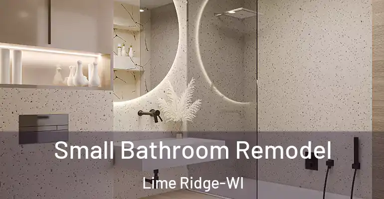 inner Bathroom imggen Small Bathroom Remodel Lime Ridge-WI