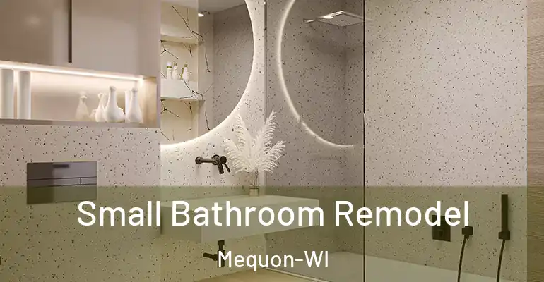 inner Bathroom imggen Small Bathroom Remodel Mequon-WI