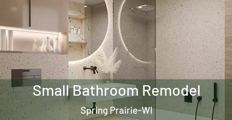 inner Bathroom imggen Small Bathroom Remodel Spring Prairie-WI