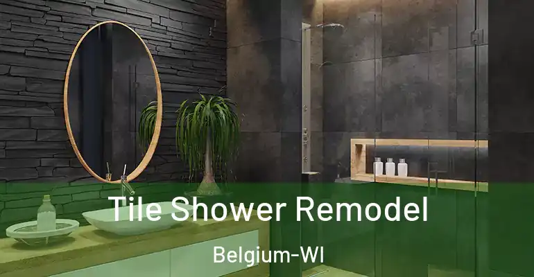 inner Bathroom imggen Tile Shower Remodel Belgium-WI