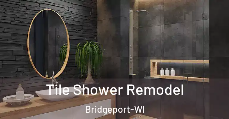 inner Bathroom imggen Tile Shower Remodel Bridgeport-WI