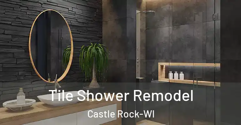 inner Bathroom imggen Tile Shower Remodel Castle Rock-WI