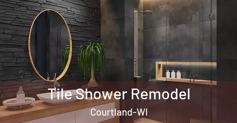 inner Bathroom imggen Tile Shower Remodel Courtland-WI
