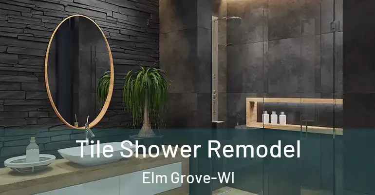 inner Bathroom imggen Tile Shower Remodel Elm Grove-WI