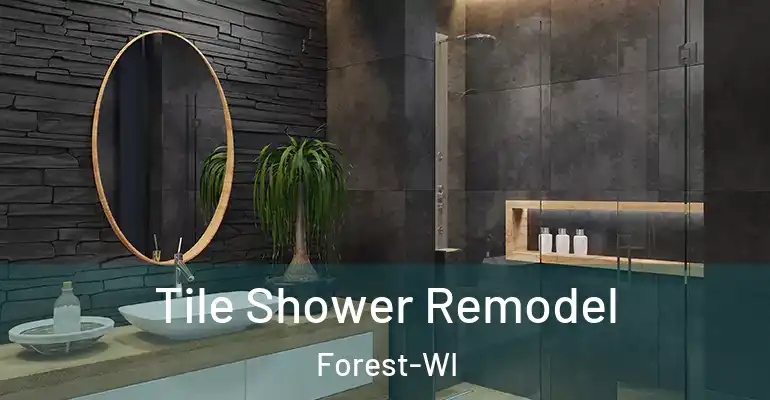 inner Bathroom imggen Tile Shower Remodel Forest-WI