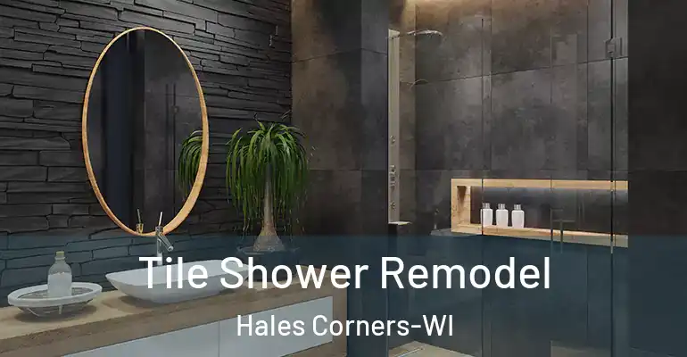 inner Bathroom imggen Tile Shower Remodel Hales Corners-WI