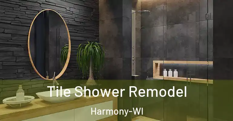 inner Bathroom imggen Tile Shower Remodel Harmony-WI