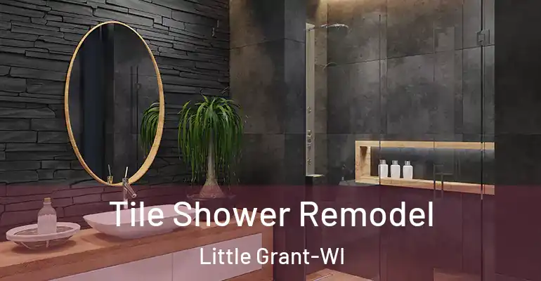 inner Bathroom imggen Tile Shower Remodel Little Grant-WI
