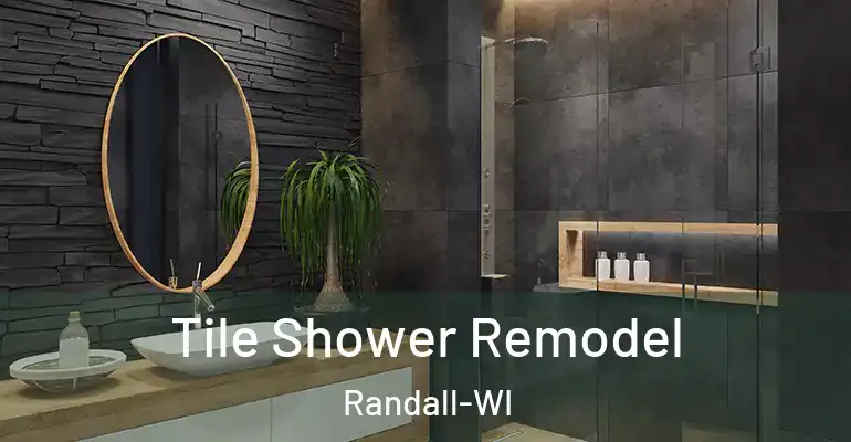 inner Bathroom imggen Tile Shower Remodel Randall-WI