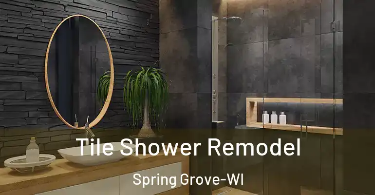 inner Bathroom imggen Tile Shower Remodel Spring Grove-WI