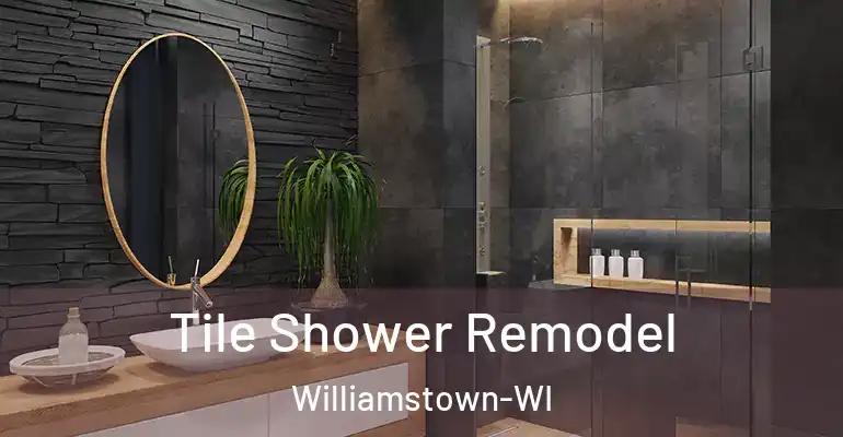 inner Bathroom imggen Tile Shower Remodel Williamstown-WI