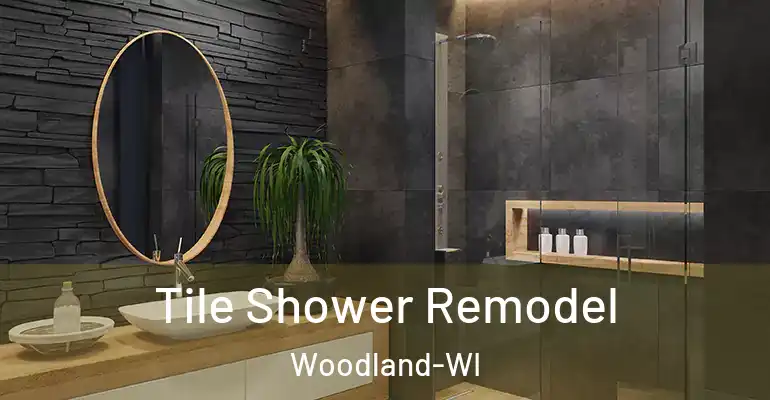 inner Bathroom imggen Tile Shower Remodel Woodland-WI