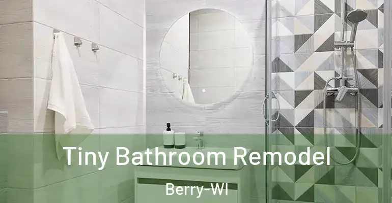 inner Bathroom imggen Tiny Bathroom Remodel Berry-WI