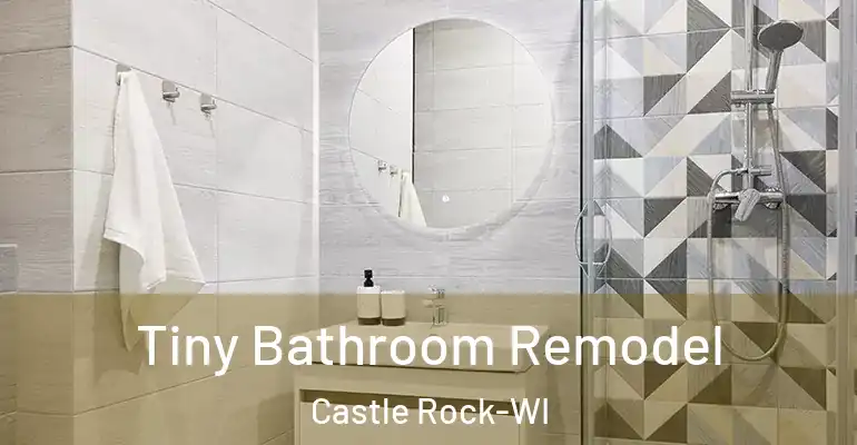 inner Bathroom imggen Tiny Bathroom Remodel Castle Rock-WI