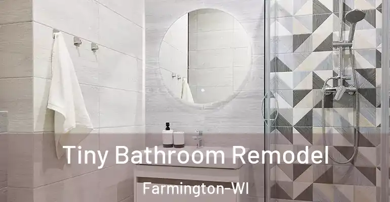 inner Bathroom imggen Tiny Bathroom Remodel Farmington-WI