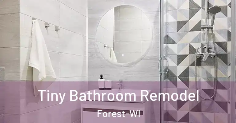 inner Bathroom imggen Tiny Bathroom Remodel Forest-WI