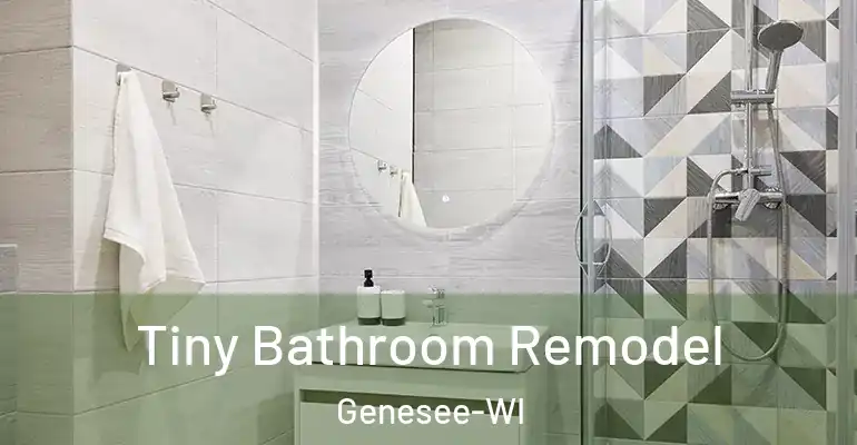 inner Bathroom imggen Tiny Bathroom Remodel Genesee-WI