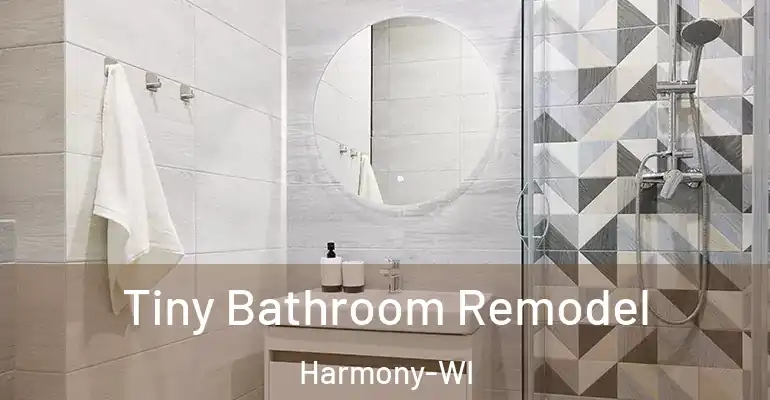 inner Bathroom imggen Tiny Bathroom Remodel Harmony-WI