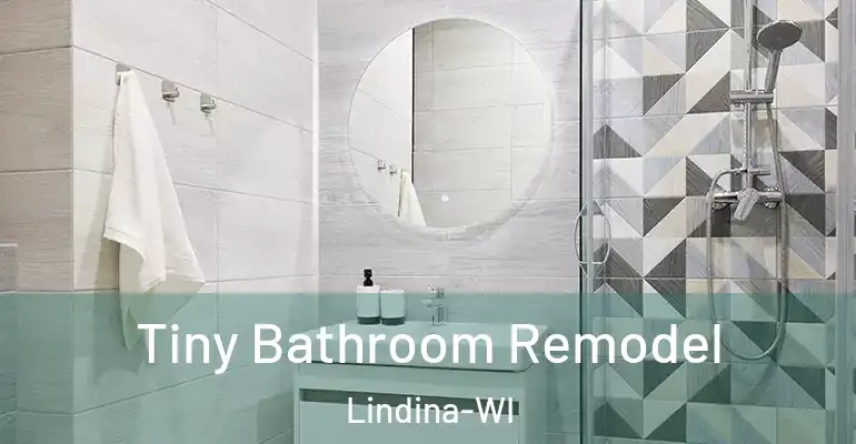 inner Bathroom imggen Tiny Bathroom Remodel Lindina-WI