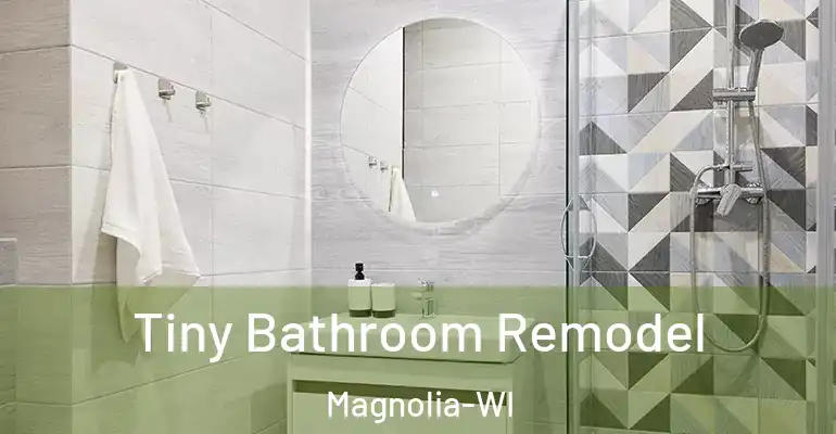 inner Bathroom imggen Tiny Bathroom Remodel Magnolia-WI