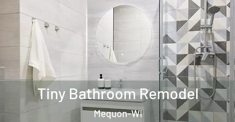 inner Bathroom imggen Tiny Bathroom Remodel Mequon-WI