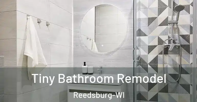 inner Bathroom imggen Tiny Bathroom Remodel Reedsburg-WI