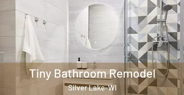 inner Bathroom imggen Tiny Bathroom Remodel Silver Lake-WI
