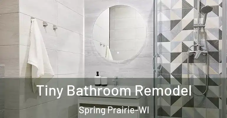 inner Bathroom imggen Tiny Bathroom Remodel Spring Prairie-WI