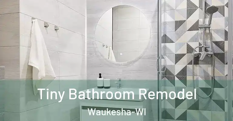 inner Bathroom imggen Tiny Bathroom Remodel Waukesha-WI