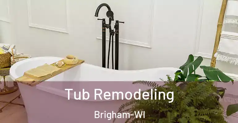 inner Bathroom imggen Tub Remodeling Brigham-WI
