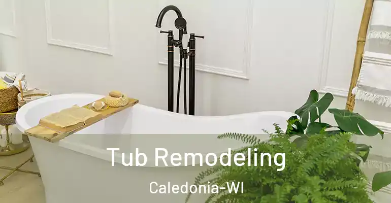 inner Bathroom imggen Tub Remodeling Caledonia-WI