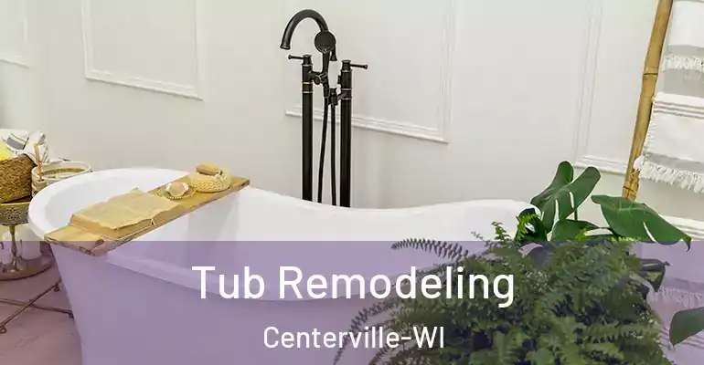 inner Bathroom imggen Tub Remodeling Centerville-WI