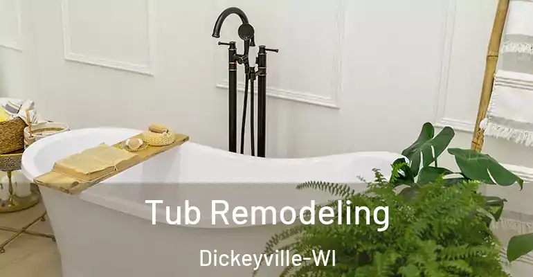 inner Bathroom imggen Tub Remodeling Dickeyville-WI