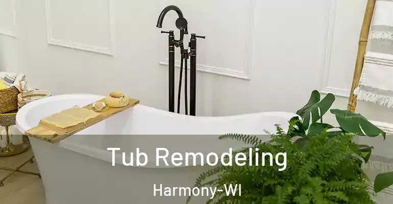 inner Bathroom imggen Tub Remodeling Harmony-WI
