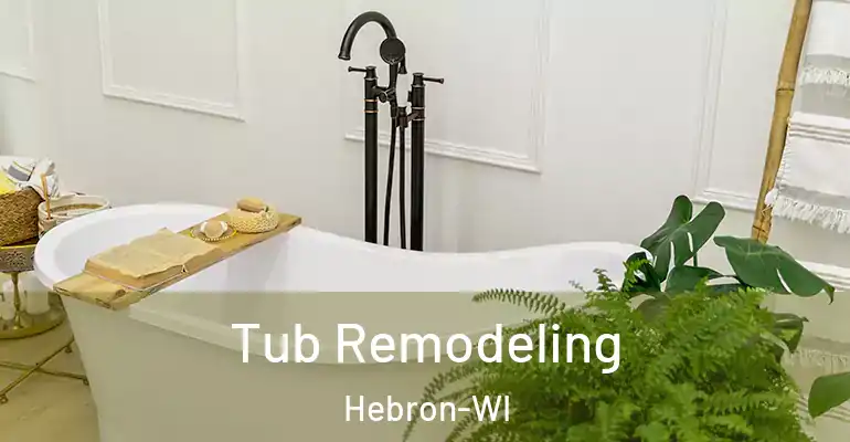 inner Bathroom imggen Tub Remodeling Hebron-WI