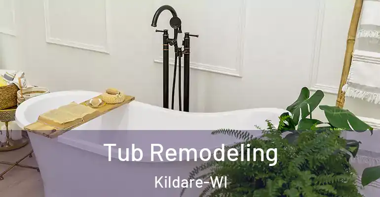 inner Bathroom imggen Tub Remodeling Kildare-WI