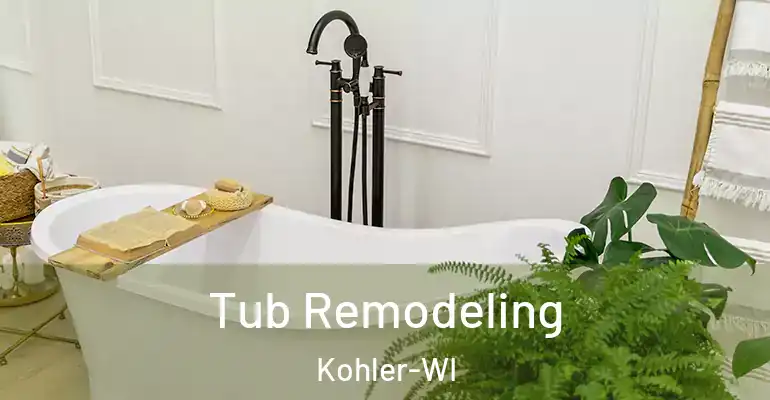 inner Bathroom imggen Tub Remodeling Kohler-WI
