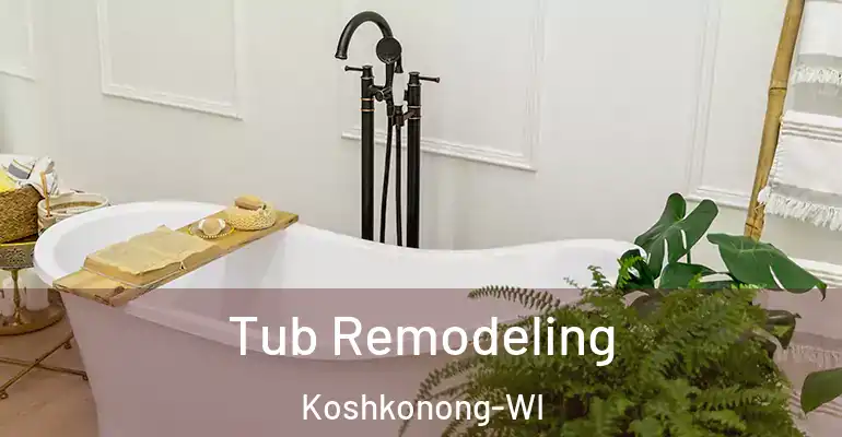 inner Bathroom imggen Tub Remodeling Koshkonong-WI