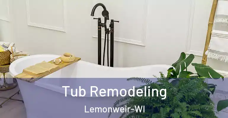 inner Bathroom imggen Tub Remodeling Lemonweir-WI